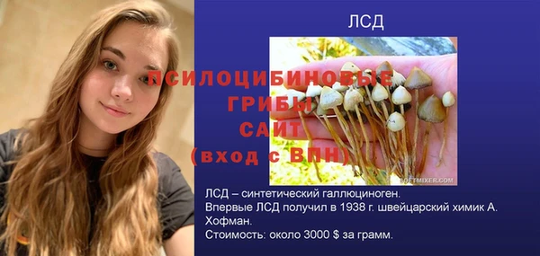 spice Армянск