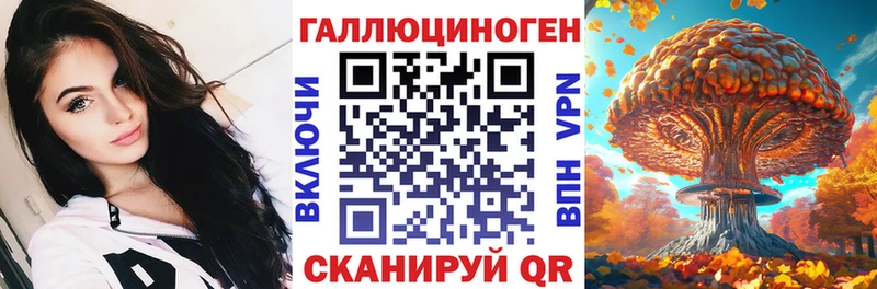 купить наркотик  Гудермес  kraken ссылки  Псилоцибиновые грибы Cubensis 